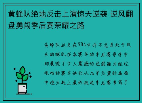 黄蜂队绝地反击上演惊天逆袭 逆风翻盘勇闯季后赛荣耀之路