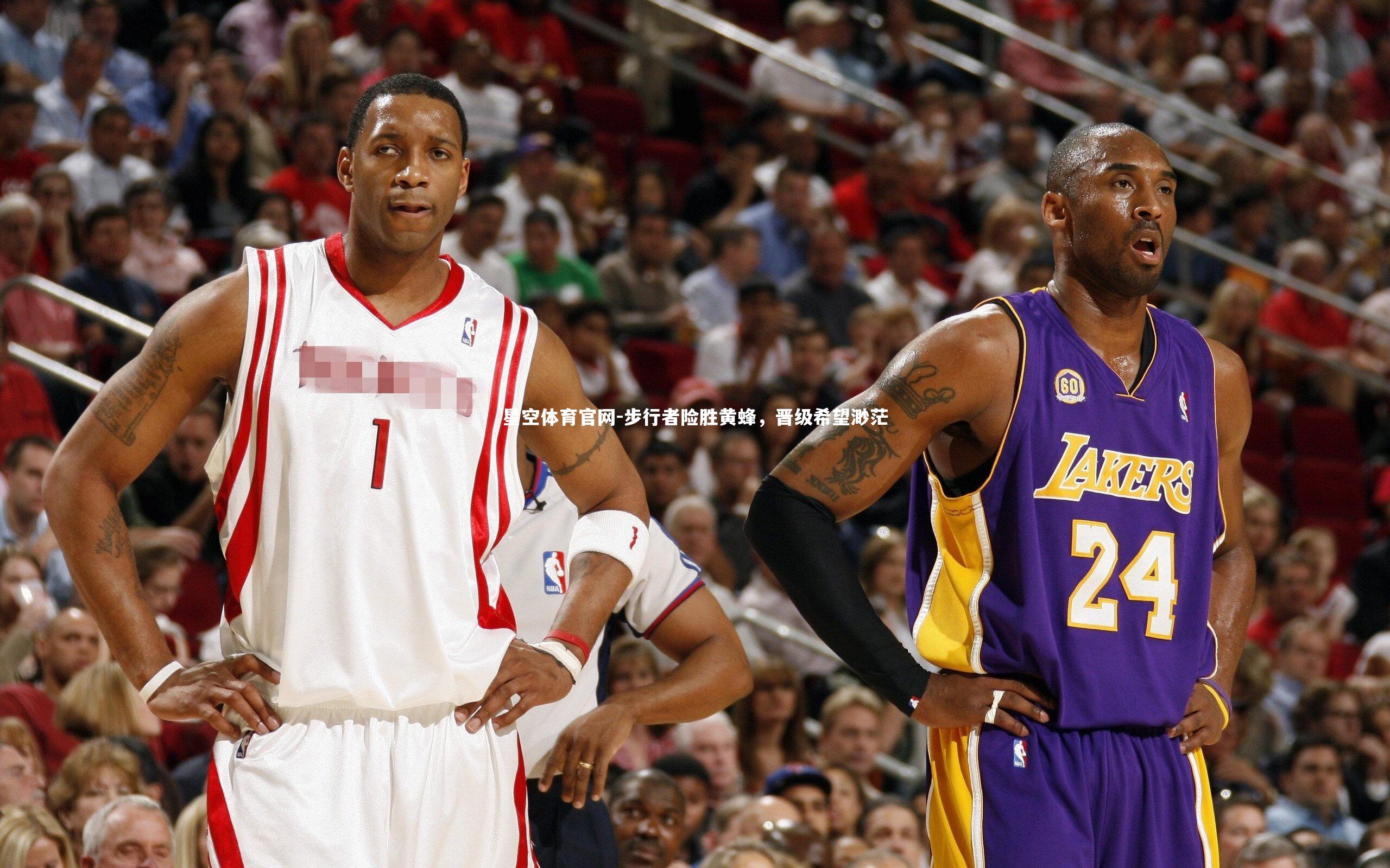 星空体育官网-步行者险胜黄蜂，晋级希望渺茫